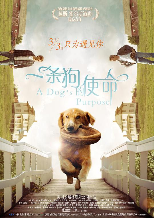 img_cb106b47f359ac47c3ba4f65d534083d.png